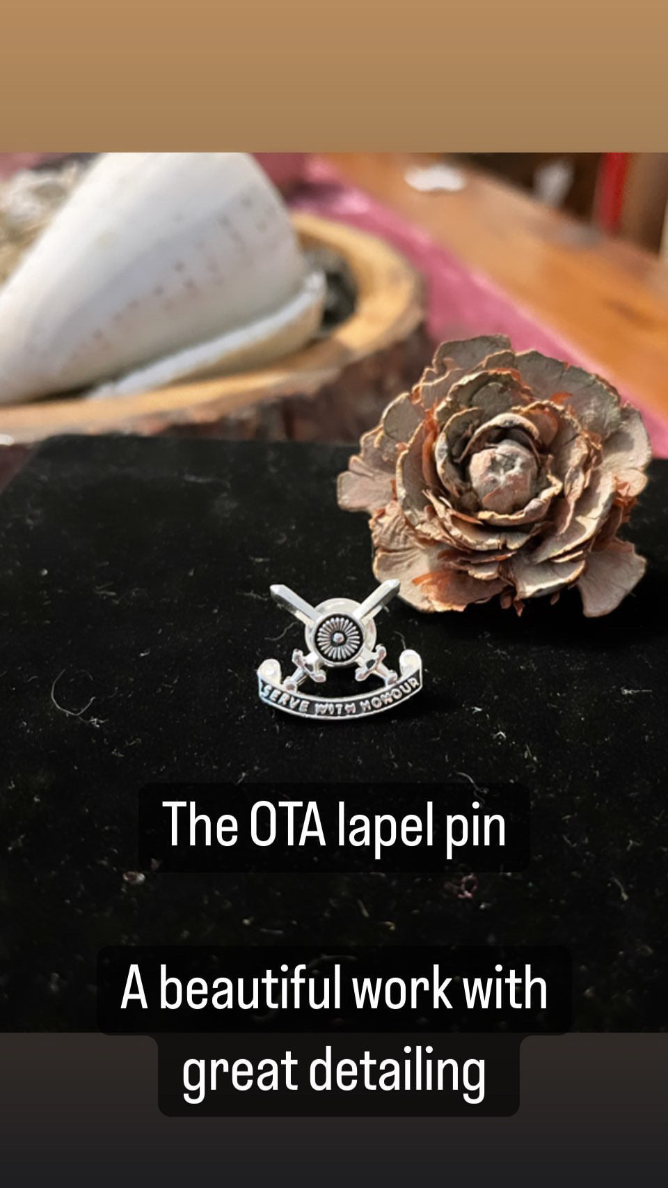 OTA LAPEL PIN