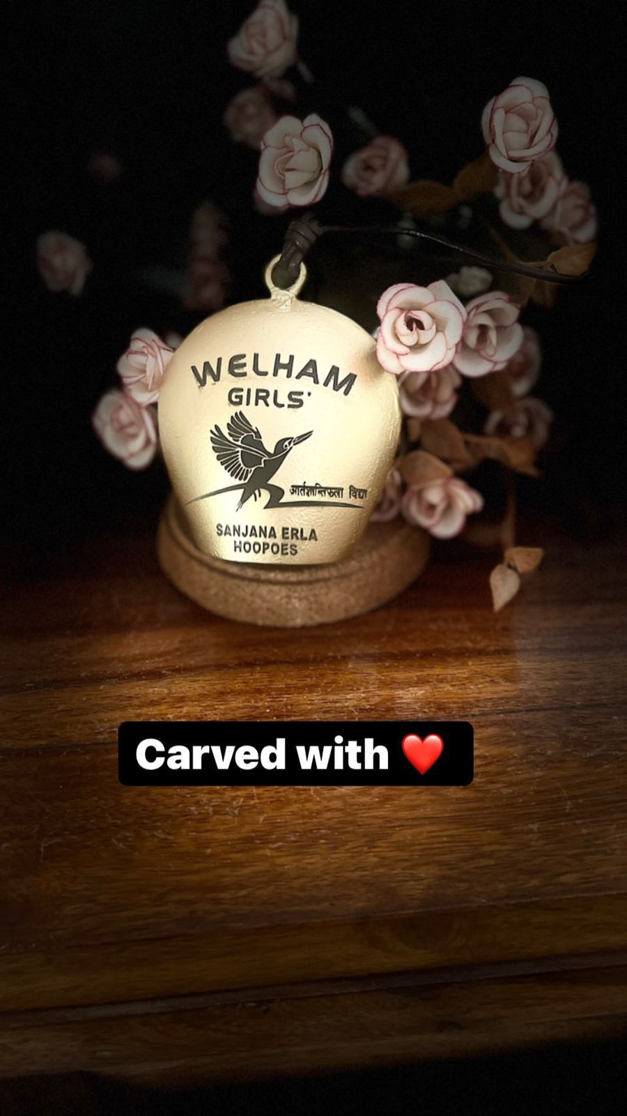 Customised Cowbells